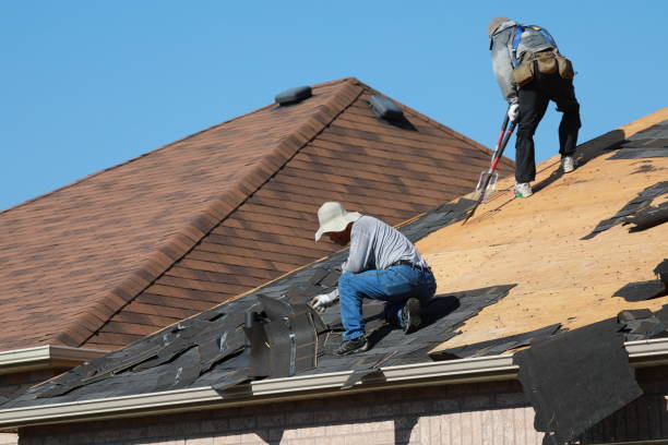 Best Roof Moss and Algae Removal  in North Auburn, CA